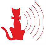 La Radio de los Gatos